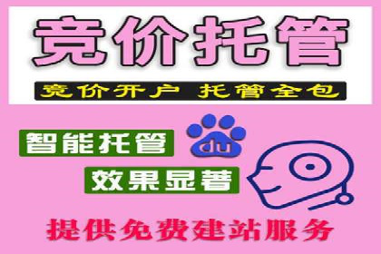 行业案例研究：SEM竞价托管的策略与挑战
